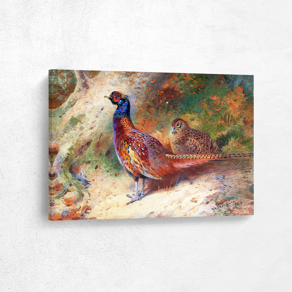  A Cock and Hen Pheasant in a Thicket